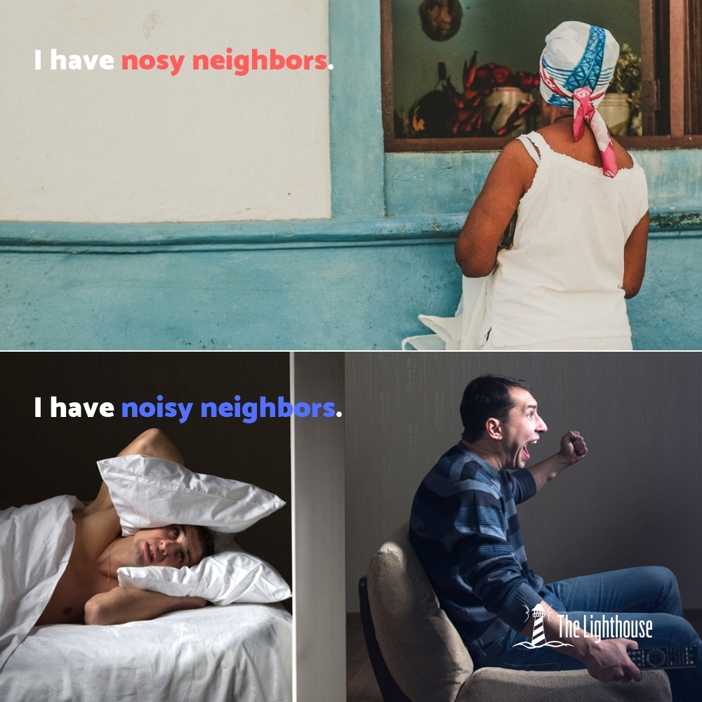 nosy vs. noisy